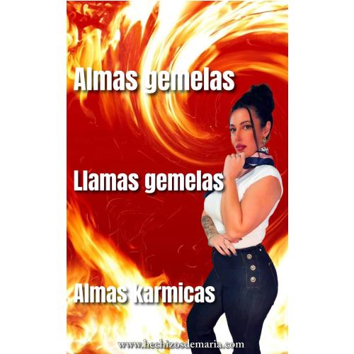 Libro de Almas gemelas, llamas gemelas y almas kármicas por Hechizos de María​